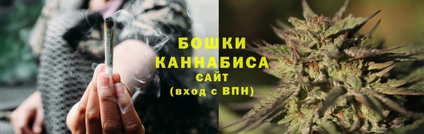 прущие грибы Балахна