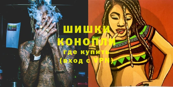 прущие грибы Балахна