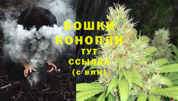 прущие грибы Балахна