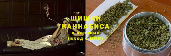 прущие грибы Балахна