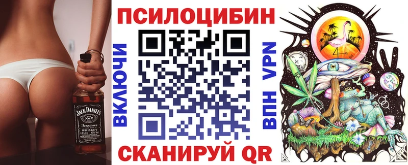 наркошоп  Невельск  Псилоцибиновые грибы Cubensis 